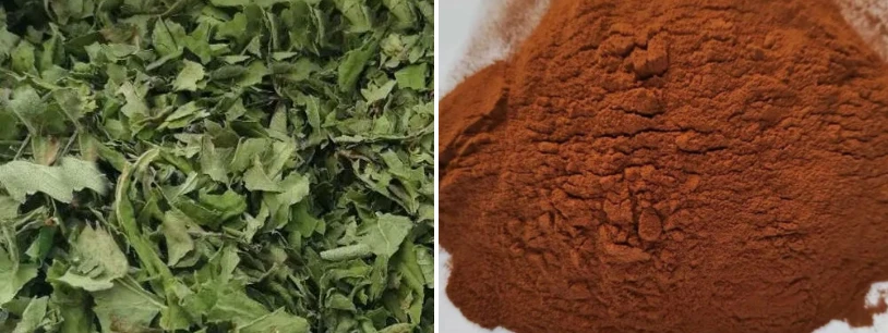 product-814-306 Hawthorn Leaf Extract Powder